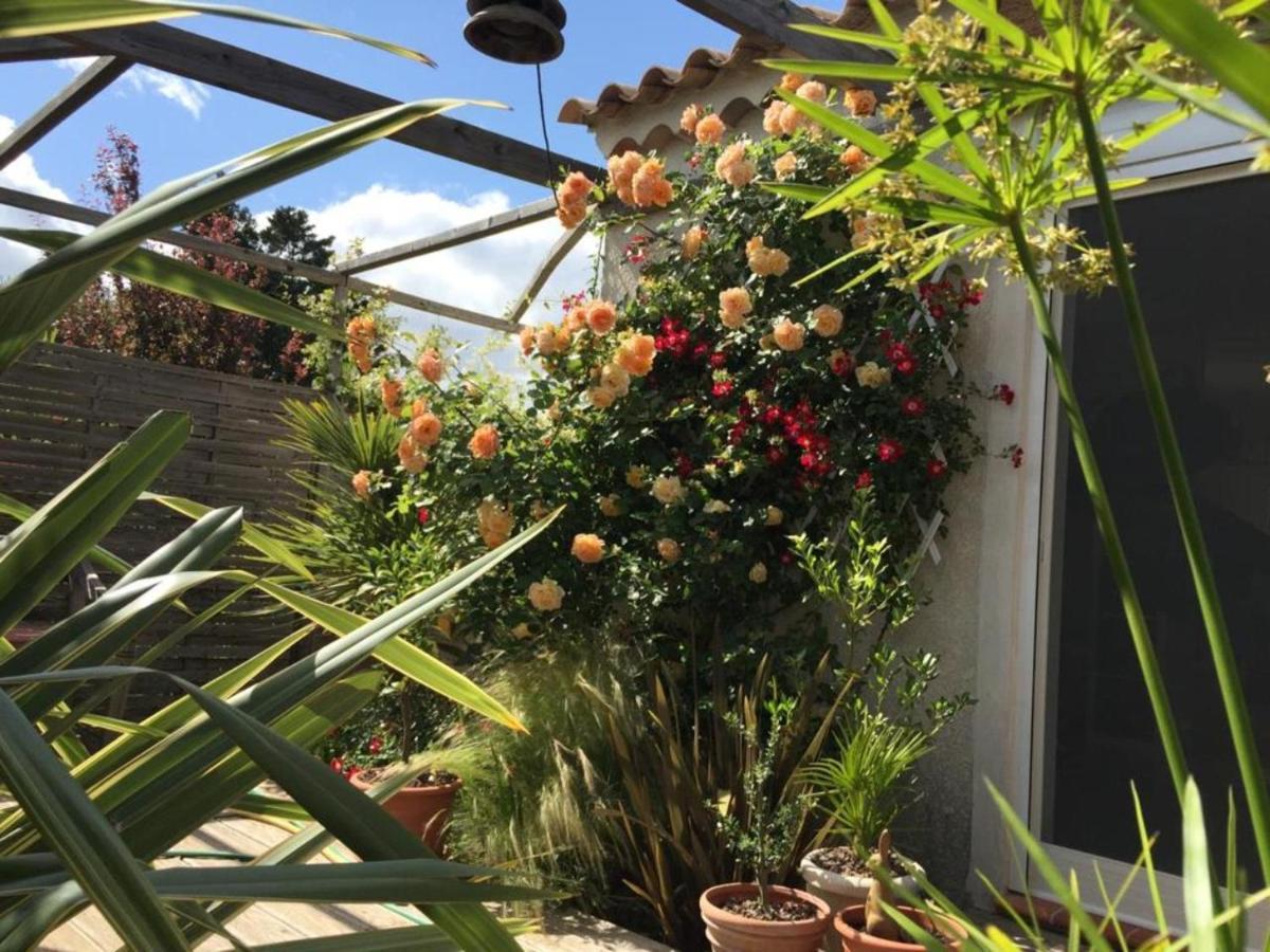סן-מארי-דה-לה-מאר La Villa Vaihere En Camargue, L'Hibiscus Et Le Magnolia מראה חיצוני תמונה